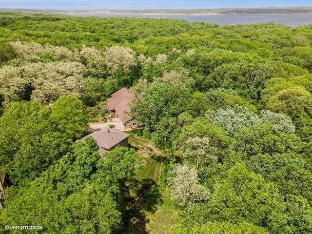 6406 Theresa Dr, Johnston, IA 50131 - drone / aerial view of a forest