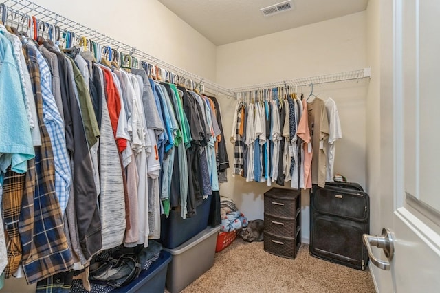 spacious closet featuring carpet flooring