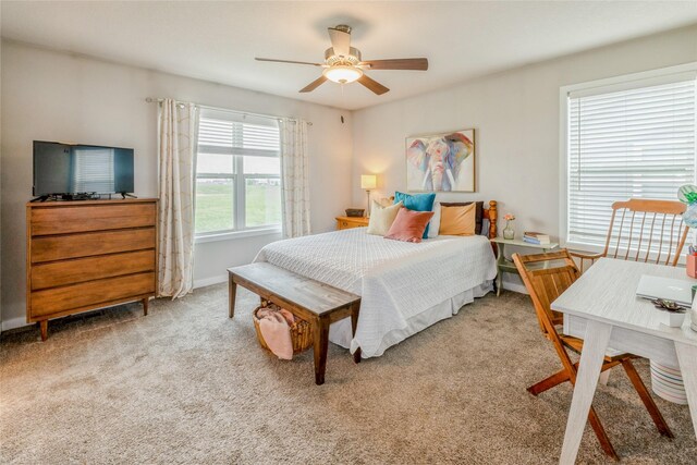 217 NE Glendale Ln, Ankeny, IA 50021 - carpeted bedroom with ceiling fan and baseboards