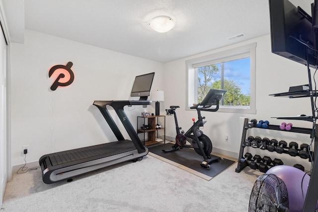 585 NW Rosemont Dr, Waukee, IA 50263 - exercise room with carpet floors and baseboards