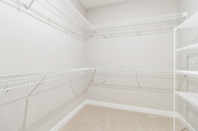 14512 Northpark Dr, Urbandale, IA 50111 - walk in closet with carpet floors