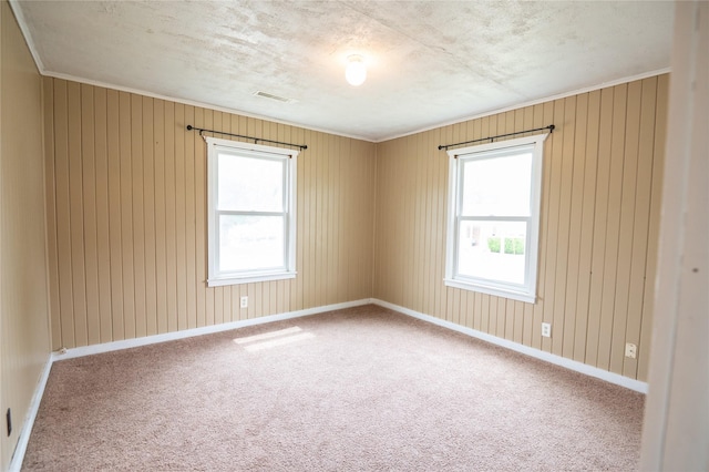 101 E Cronkhite St, Knoxville, IA 50138 - spare room with carpet flooring, healthy amount of natural light, ornamental molding, and wooden walls