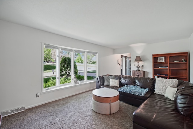 6700 Sheridan Ave, Des Moines, IA 50322 - living area with carpet floors and baseboards