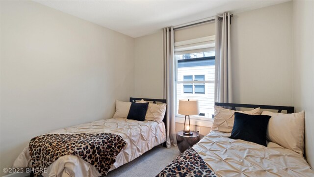 201 Grand Ave Unit 109, Des Moines, IA 50309 - bedroom featuring carpet