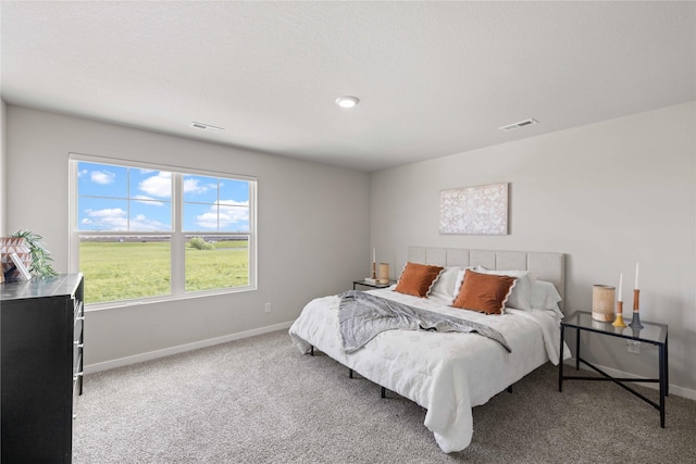 14243 Walnut Meadows Dr, Urbandale, IA 50323 - photo 11