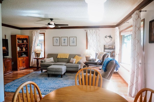 living room featuring wood finished floors, a textured ceiling, ceiling fan, and crown molding