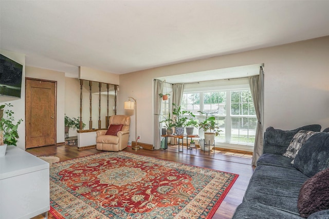 406 NW Kimberly Ln, Ankeny, IA 50023 - living area with wood finished floors