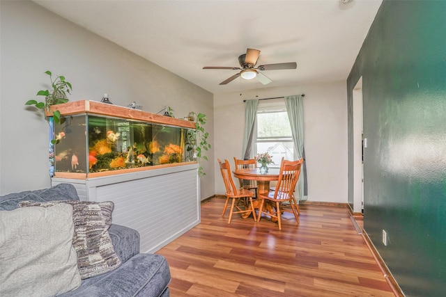 406 NW Kimberly Ln, Ankeny, IA 50023 - dining area with ceiling fan, wood finished floors, and baseboards