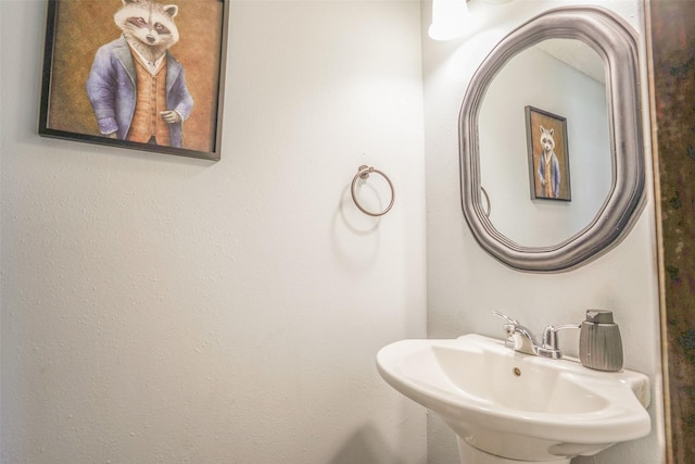 406 NW Kimberly Ln, Ankeny, IA 50023 - bathroom with a sink
