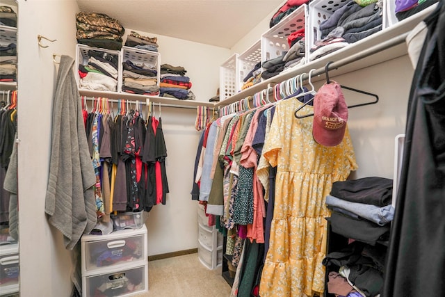406 NW Kimberly Ln, Ankeny, IA 50023 - walk in closet with carpet