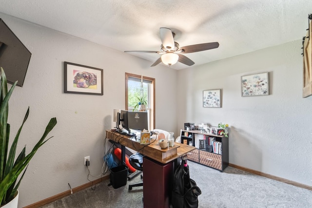 225 NW 50th Pl, Des Moines, IA 50313 - office space with carpet floors, a ceiling fan, and baseboards