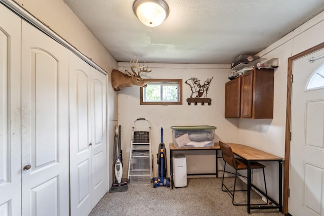 225 NW 50th Pl, Des Moines, IA 50313 - office space with carpet floors, healthy amount of natural light, and a textured ceiling