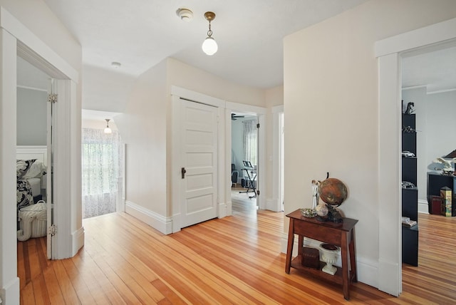 207 Kellogg Ave, Dallas Center, IA 50063 - hallway featuring light wood-type flooring and baseboards