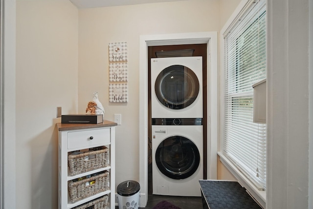 207 Kellogg Ave, Dallas Center, IA 50063 - laundry room with stacked washer and clothes dryer