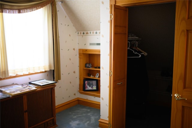 320 E 3rd St S, Newton, IA 50208 - walk in closet featuring vaulted ceiling and carpet floors