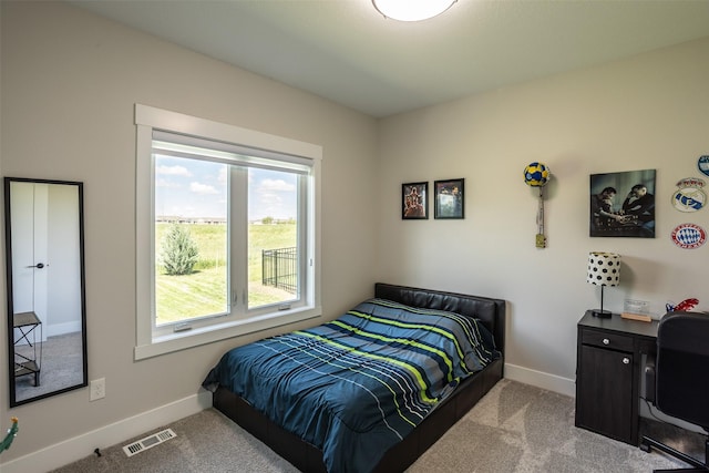 2770 NW 167th St, Clive, IA 50325 - bedroom with baseboards and carpet floors