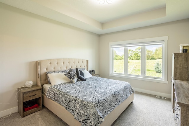2770 NW 167th St, Clive, IA 50325 - carpeted bedroom with baseboards and a raised ceiling