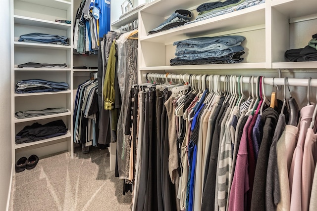 2770 NW 167th St, Clive, IA 50325 - walk in closet with carpet floors