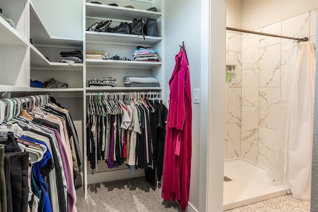 2770 NW 167th St, Clive, IA 50325 - spacious closet featuring carpet