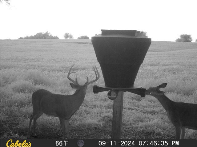 000 Carriage Trl, Macksburg, IA 50155 - photo 22