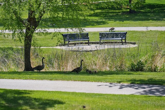545 Maggie Ln, Altoona, IA 50009 - view of home's community featuring a lawn