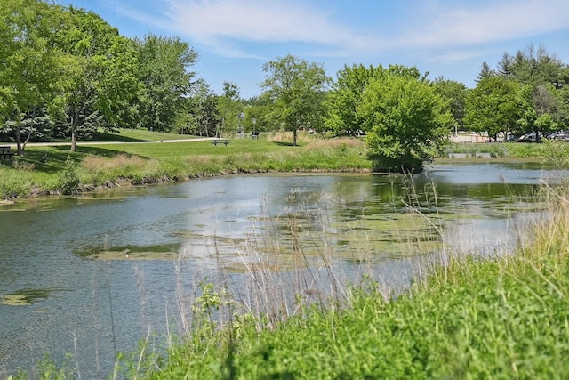 545 Maggie Ln, Altoona, IA 50009 - water view featuring a tree filled landscape