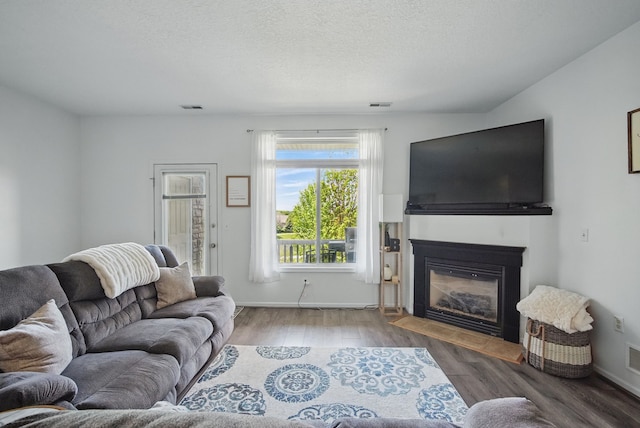 545 Maggie Ln, Altoona, IA 50009 - living room with wood finished floors, a glass covered fireplace, a textured ceiling, and baseboards