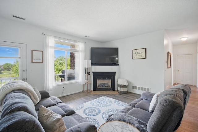 545 Maggie Ln, Altoona, IA 50009 - living room featuring wood finished floors, a glass covered fireplace, baseboards, and a textured ceiling