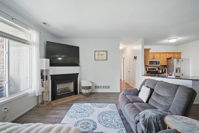545 Maggie Ln, Altoona, IA 50009 - living area with a glass covered fireplace, wood finished floors, baseboards, and a textured ceiling