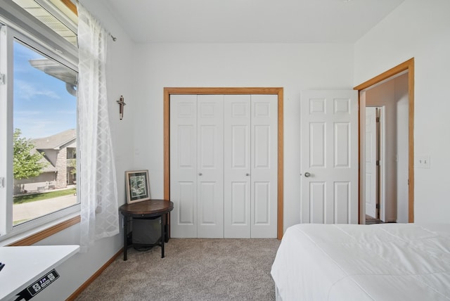 545 Maggie Ln, Altoona, IA 50009 - bedroom featuring carpet, a closet, and baseboards