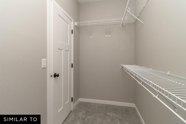 4120 NE 5th St, Ankeny, IA 50021 - spacious closet with carpet