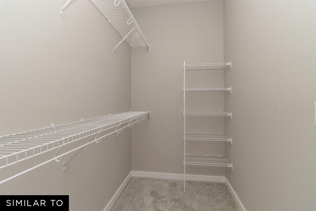 4120 NE 5th St, Ankeny, IA 50021 - spacious closet featuring carpet flooring