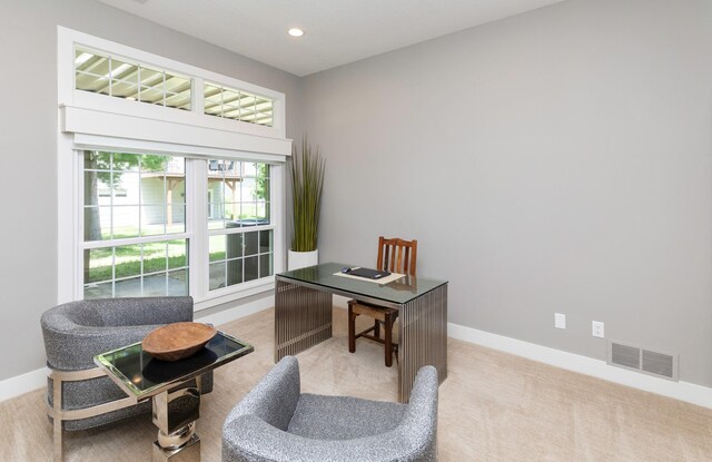 8115 Cobblestone Ct, Urbandale, IA 50322 - office space with light colored carpet, baseboards, and recessed lighting