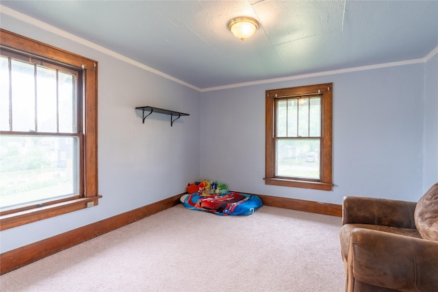 1014 14th St, Boone, IA 50036 - game room featuring carpet, baseboards, and crown molding