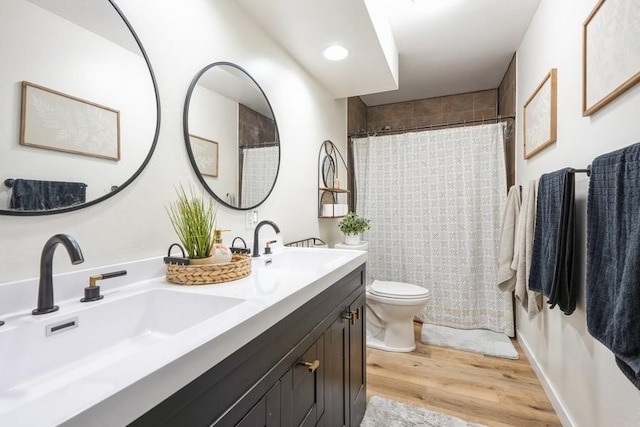 306 E Buchanan St, Baxter, IA 50028 - bathroom featuring wood finished floors, double vanity, toilet, and a shower with shower curtain
