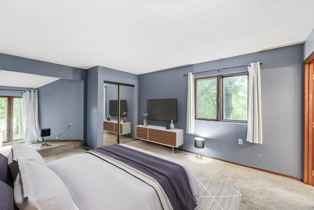 4633 Lockner Dr Unit 3, Urbandale, IA 50322 - bedroom featuring carpet, baseboards, and a closet