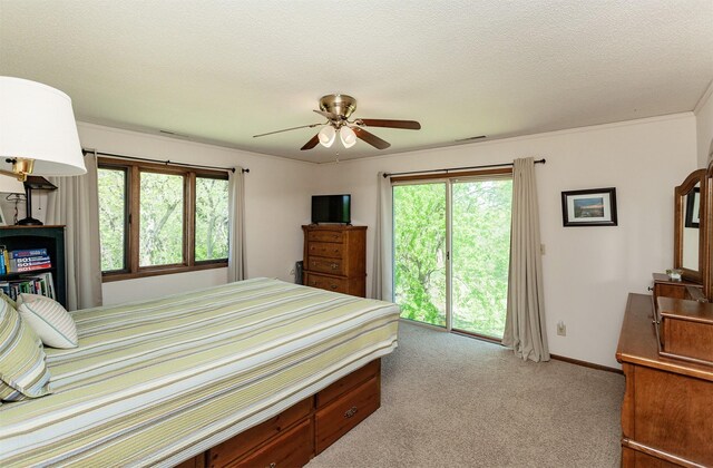 1137 242nd St, Boone, IA 50036 - photo 26