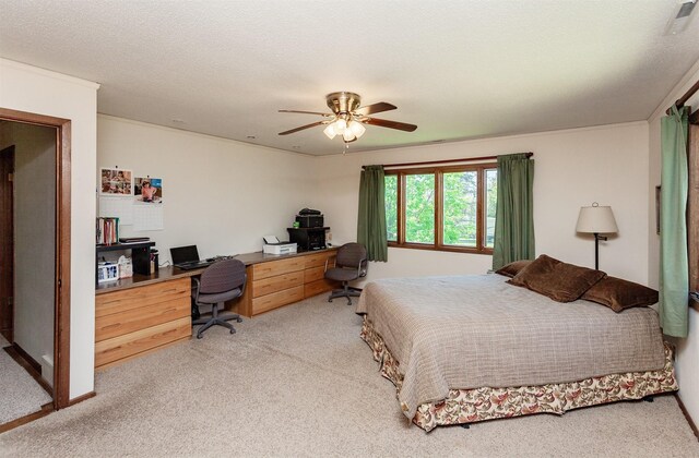 1137 242nd St, Boone, IA 50036 - photo 28