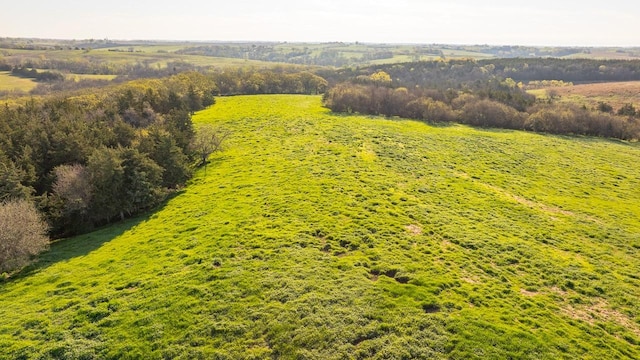 1598 Pheasant Ave, Afton, IA 50830