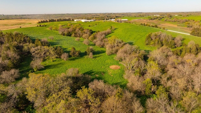 1598 Pheasant Ave, Afton, IA 50830