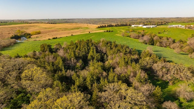 1598 Pheasant Ave, Afton, IA 50830