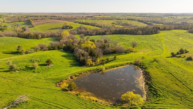 1598 Pheasant Ave, Afton, IA 50830