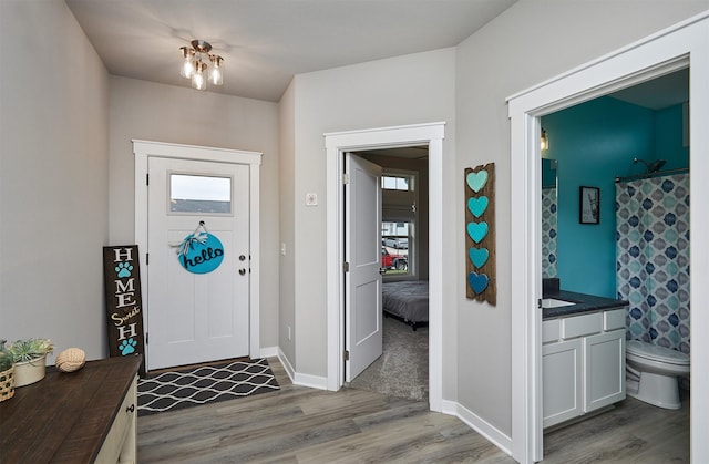 1917 Southbridge Dr, Adel, IA 50003 - foyer entrance featuring wood finished floors and baseboards
