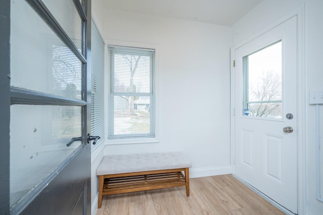 211 Park Ave, Des Moines, IA 50315 - entryway featuring plenty of natural light, light wood-type flooring, and baseboards
