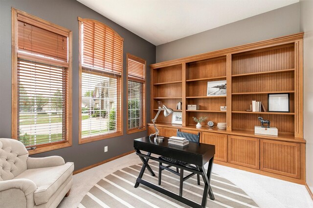 3605 151st St, Urbandale, IA 50323 - office space with light carpet and baseboards