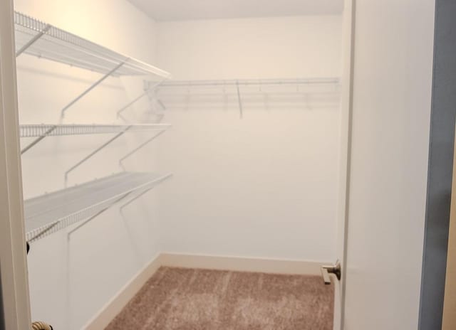 614 SW 40th St, Ankeny, IA 50023 - photo 25