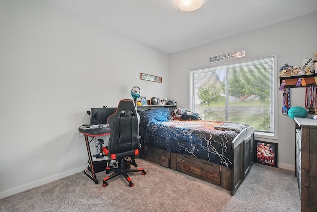 1136 S Radley St, West Des Moines, IA 50266 - photo 18