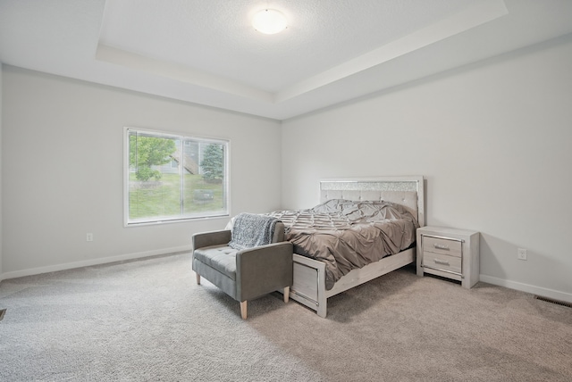 1136 S Radley St, West Des Moines, IA 50266 - photo 10