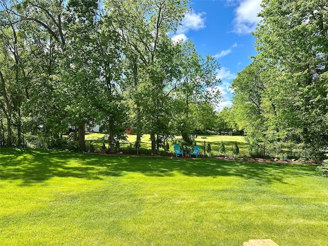 902 W Filmore St, Winterset, IA 50273 - view of green lawn