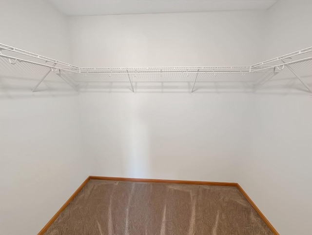 2101 Meadow Ct Unit 1304, Des Moines, IA 50320 - spacious closet with carpet floors